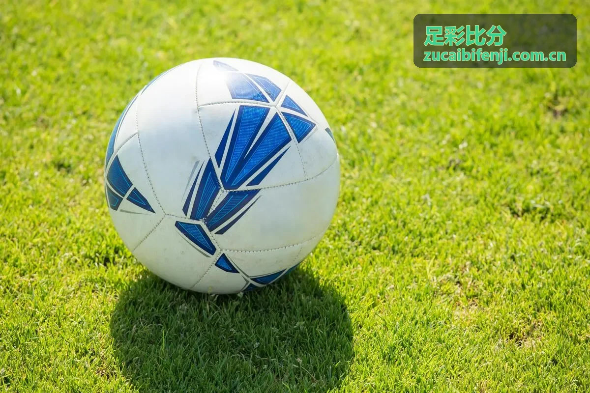 意甲联赛赛果速览 - 足彩比分